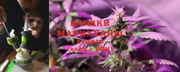 ПСИЛОЦИБИНОВЫЕ ГРИБЫ Гусев