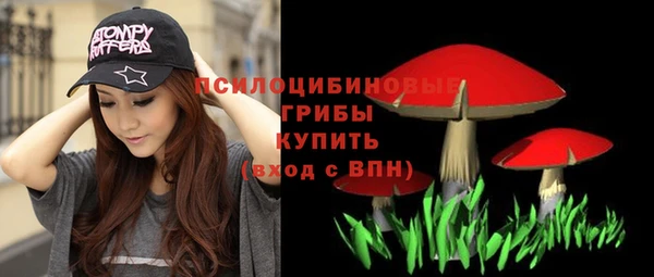 мдпв Вяземский