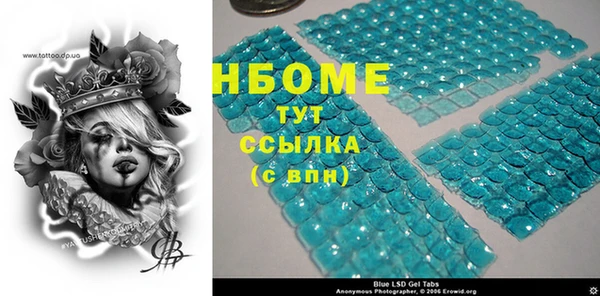 ПСИЛОЦИБИНОВЫЕ ГРИБЫ Гусев