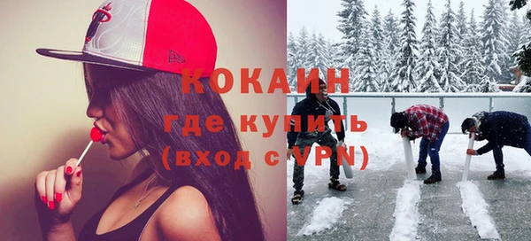 хмурый Гусь-Хрустальный