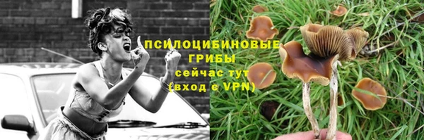 ПСИЛОЦИБИНОВЫЕ ГРИБЫ Гусев