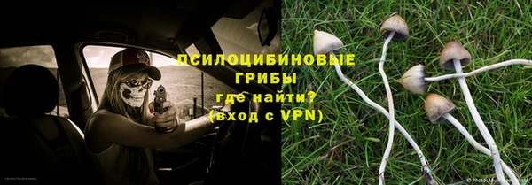 хмурый Гусь-Хрустальный