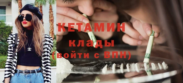 хмурый Гусь-Хрустальный