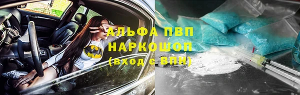 хмурый Гусь-Хрустальный