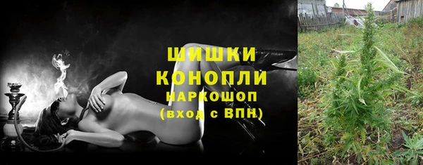 хмурый Гусь-Хрустальный