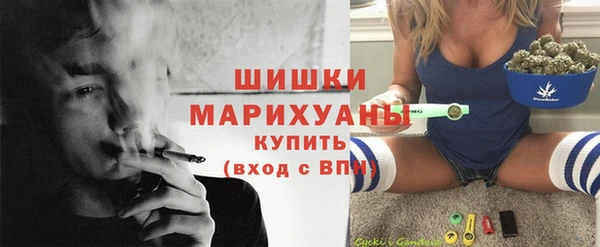 ПСИЛОЦИБИНОВЫЕ ГРИБЫ Гусев
